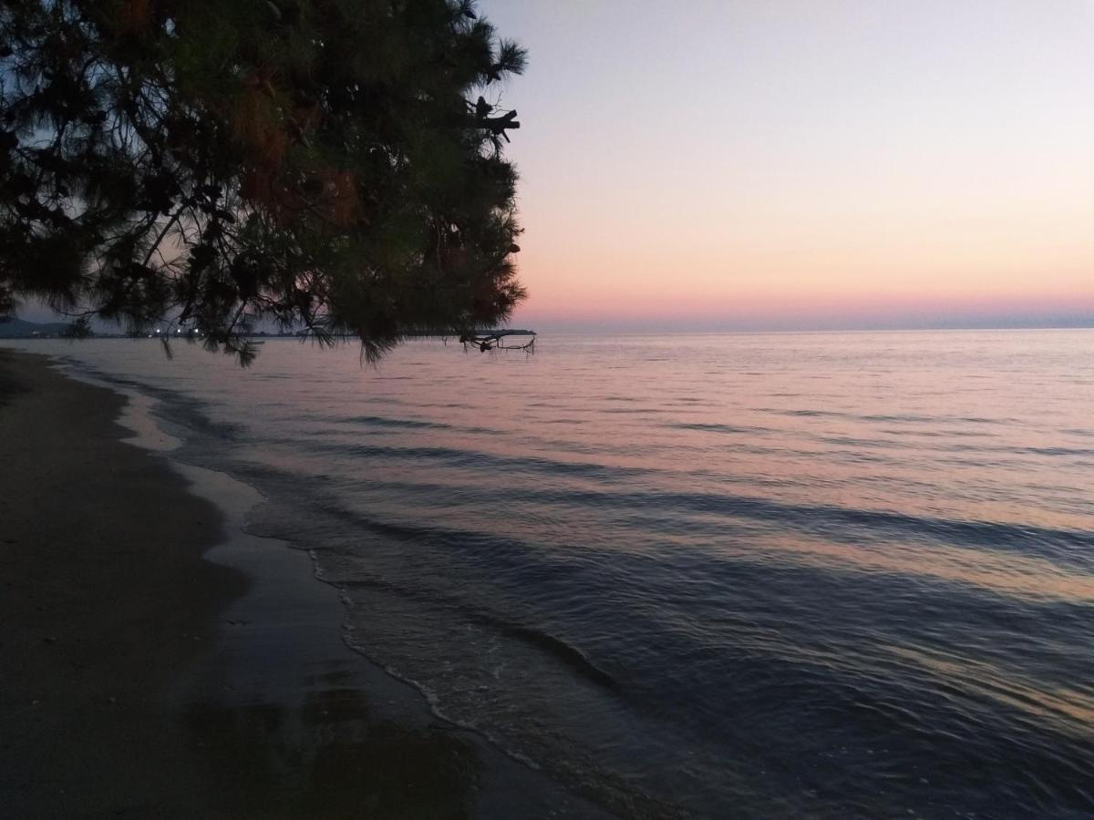 Chrisella Villa Skala Rachoni  Bagian luar foto