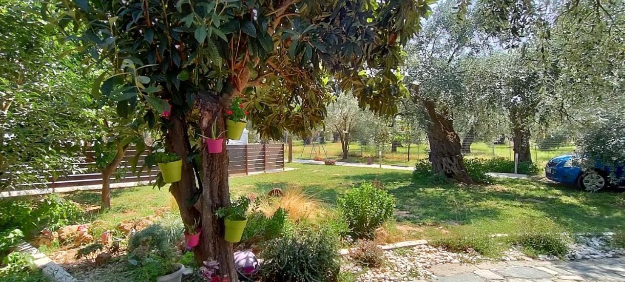 Chrisella Villa Skala Rachoni  Bagian luar foto