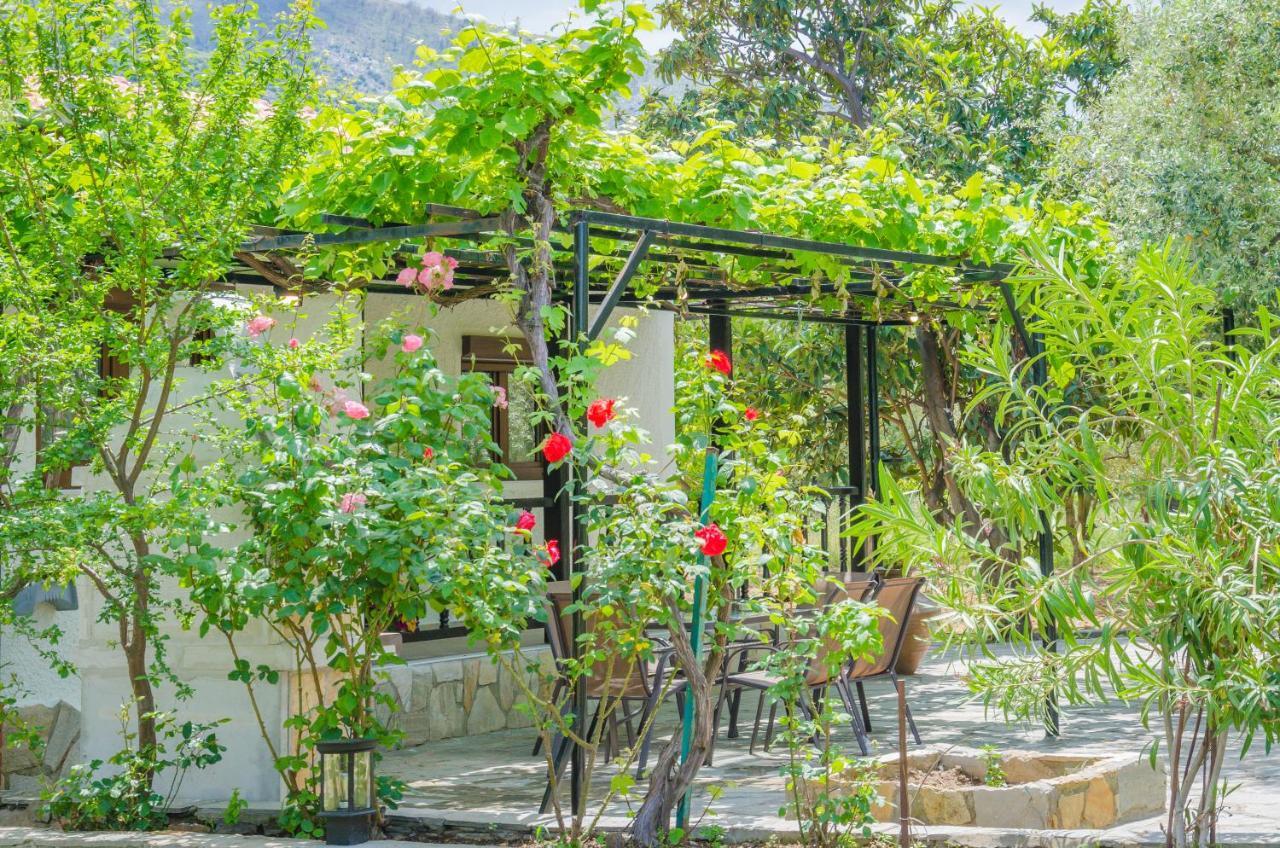 Chrisella Villa Skala Rachoni  Bagian luar foto
